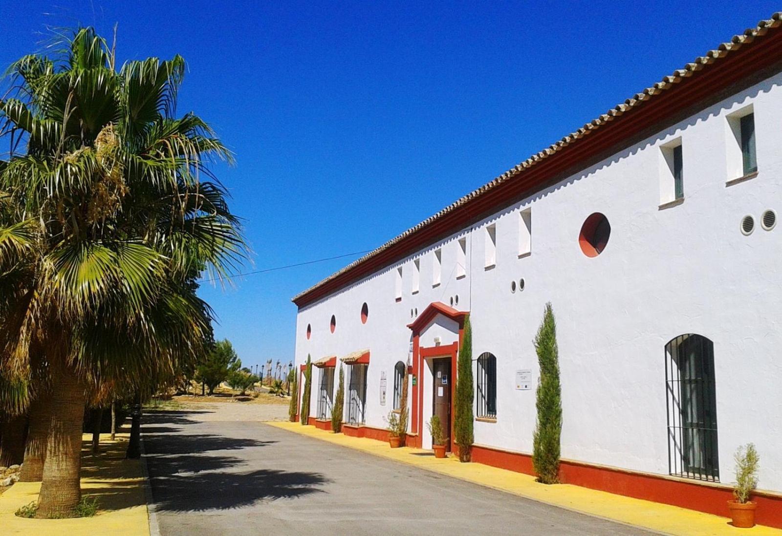 Hotel Complejo Pueblo Blanco Olvera Zewnętrze zdjęcie